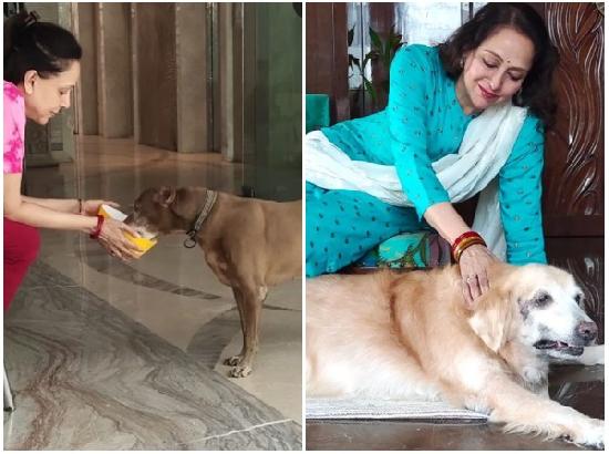 Hema Malini introduces her ‘special family members’
