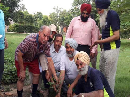 ‘Van Mahotsav-2020’: Forest department starts distributing plants/saplings