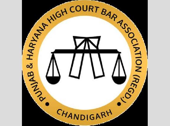 Punjab and Haryana High Court Bar Association refuses to hold online elections