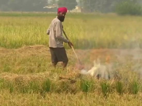 Punjab: Farmers continue to burn stubble in their fields