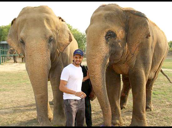 Sidharth Malhotra visits Elephant Conservation and Care Center
