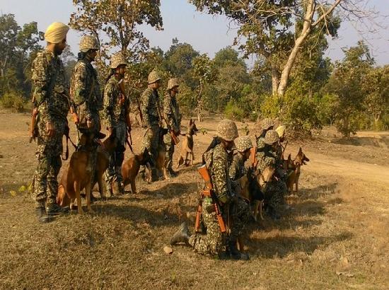 Over 130 sniffer dogs deployed to ensure safe Amarnath Yatra