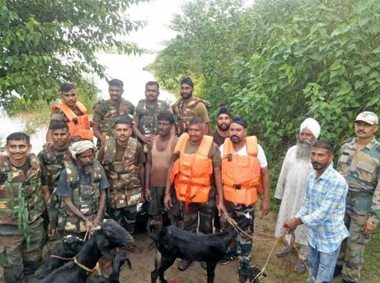 
Army Rescued Two Persons and Nine Animals From Satluj River In Nawnashahr

