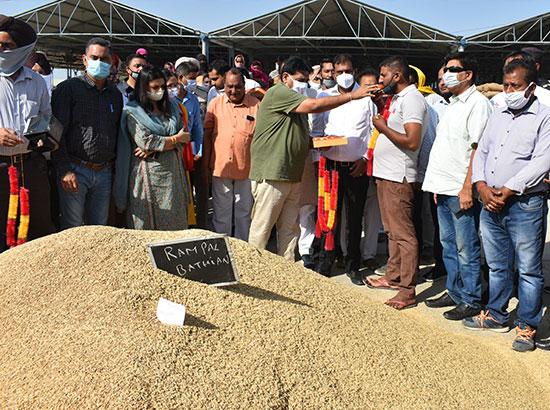 Sunder sham arora starts paddy procurement in hoshiapur

