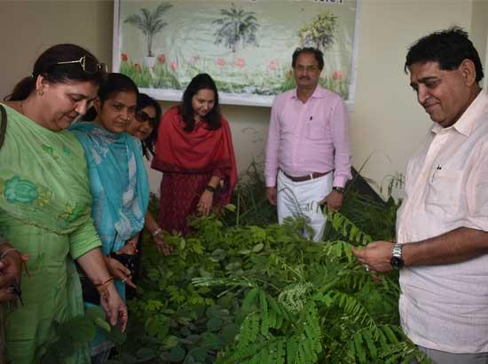 Arora inaugurates State's first 'Sanjhi Bagichi' in Hoshiarpur, distributes 9800 saplings 
