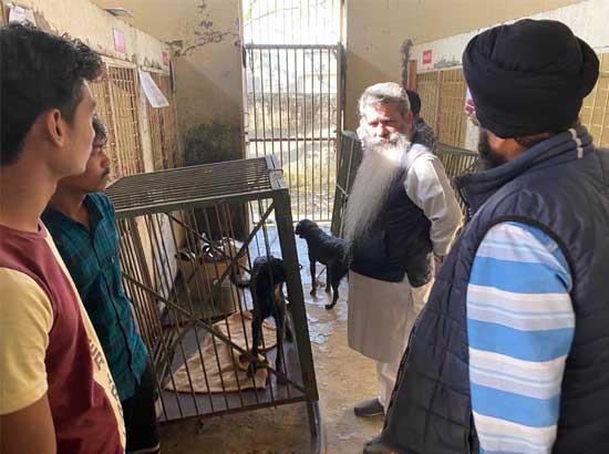 In next few months, Ludhiana will become completely free from stray dog menace: Bharat Bhushan Ashu
