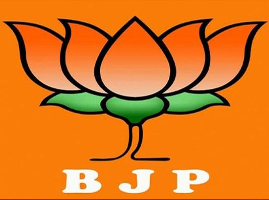 BJP avenges by-poll defeat, wins UP Rajya Sabha cliffhanger (Roundup)