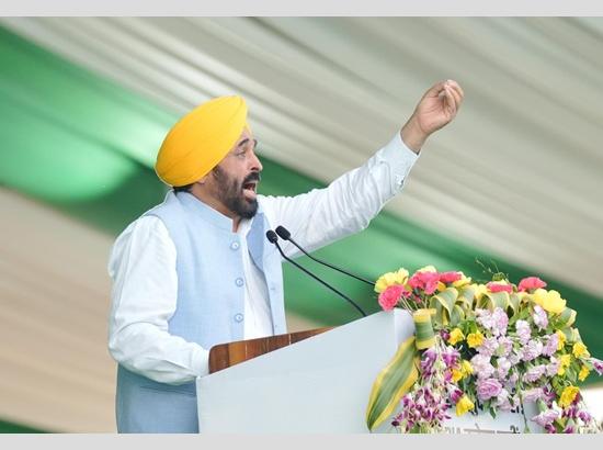 There is no 'Modi wave' in the country-Bhagwant Mann 