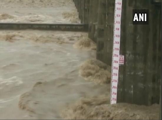 Haryana: Yamuna level rising after water release from Hathni Kund Barrage