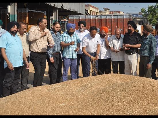 DC visits new Grain Market Jalandhar to oversee procurement operations 

