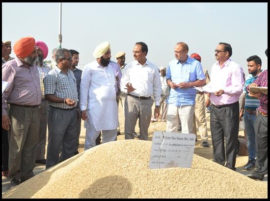 DC Jalandhar tours grain markets, ensures lifting of paddy within 24 hrs