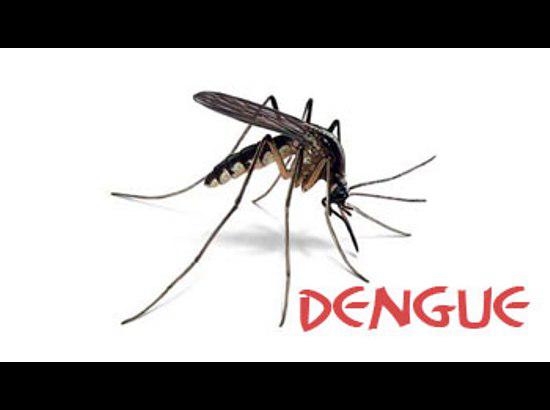 Health Minister's wake up call to officials against potential dengue outbreak