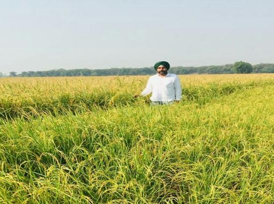 
Farmer Sawindar Singh shows the path to other farmer by paddy stubble Management
