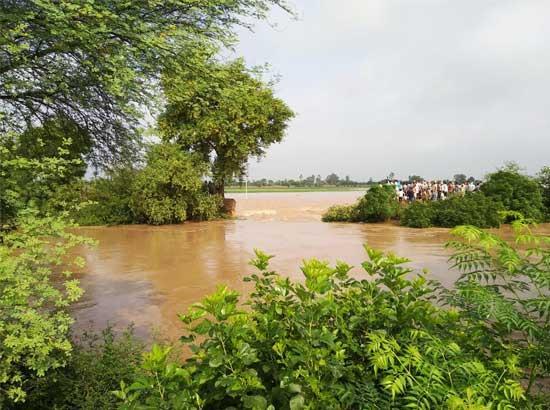 Flood situation turns grim in Punjab, 81 villages in Jalandhar ordered to be evacuated