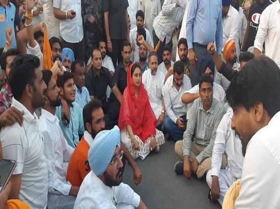 Total collapse in law and order in Bathinda :Harsimrat 
