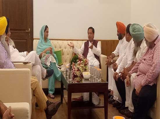 We will ensure safety and security of Sikhs - Meghalaya CM tells Sikh delegation led by Harsimrat

