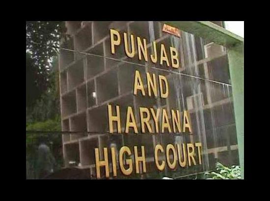 Punjab & Haryana HC orders kisan unions to take permission for Patiala dharna