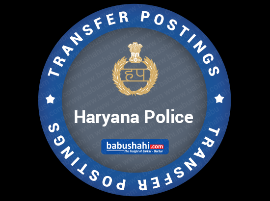 Two Haryana DSPs promoted  