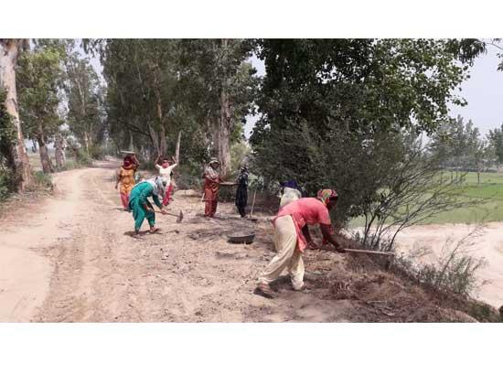 District administration ropes in MGNREGA workers for strengthening Sutlej River's embankments
