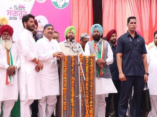 Congress Ministers, MLAs made accountable for party candidates' victory: Amarinder

