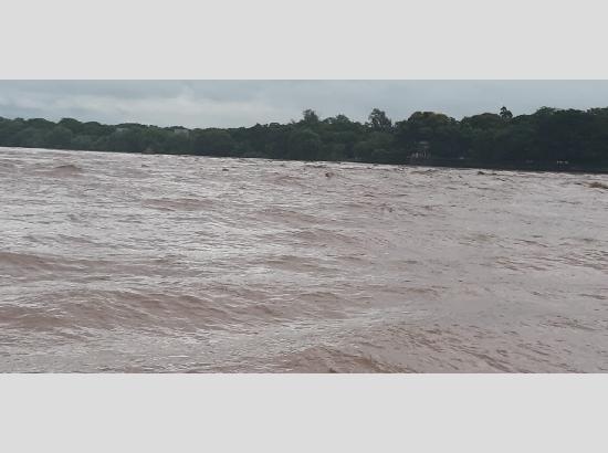 Ferozepur flood update: 4 villages near Harike submerged