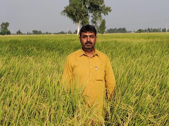 Farmer Barinder Mohan sets an example by not setting fire to crop residue
