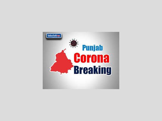 One Corona +ve case reported in Ferozepur, active +ve cases reach 73