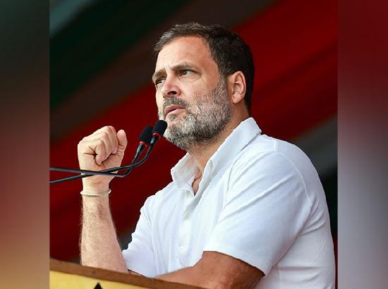 Rahul Gandhi likely to announce 10-point poll promise for youth, unemployed in MP rally