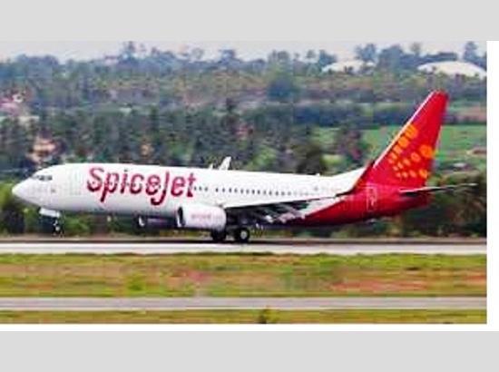 Two Spice Jets pilots suspended for 3 months for runway incursion