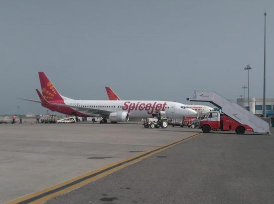 SpiceJet to launch 20 new domestic flights from March-end

