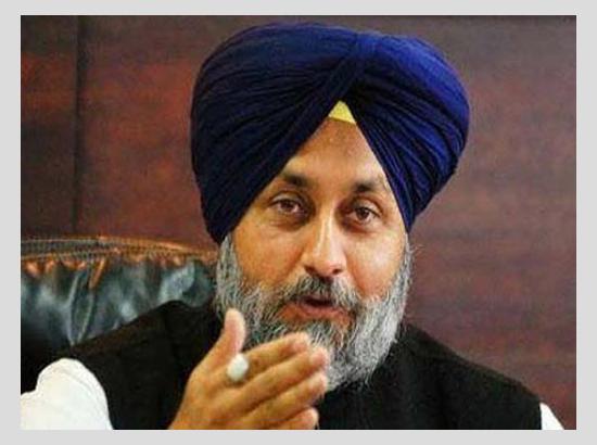 Sukhbir asks CM to accompany him along with farmer organizations to take blanket assurance on MSP 
