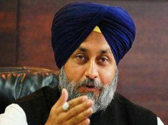 Amarinder ruined future of entire generation of youth by denying them access to employment avenues : Sukhbir Badal