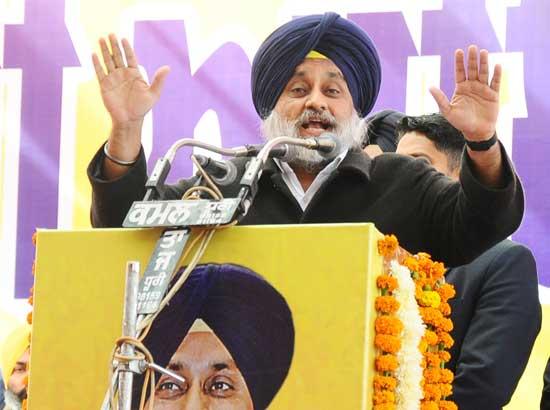 Sukhbir says those backstabbing party cannot be referred to as Taksalis
