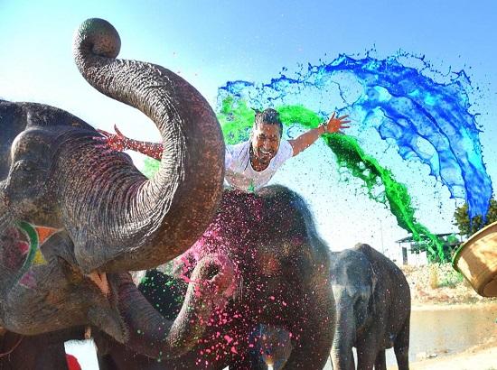 Junglee star Vidyut Jammwal celebrates Holi with Elephants
