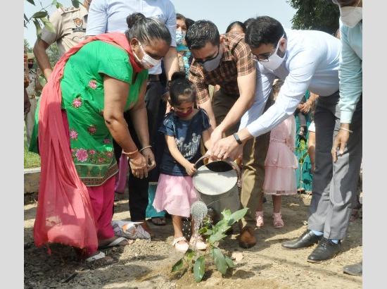 Honour for Grandmothers, the green way in Jalandhar