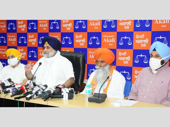 Sukhbir Badal asks CM to purchase doses worth Rs 1,000 crore to vaccinate entire state within 6 months
