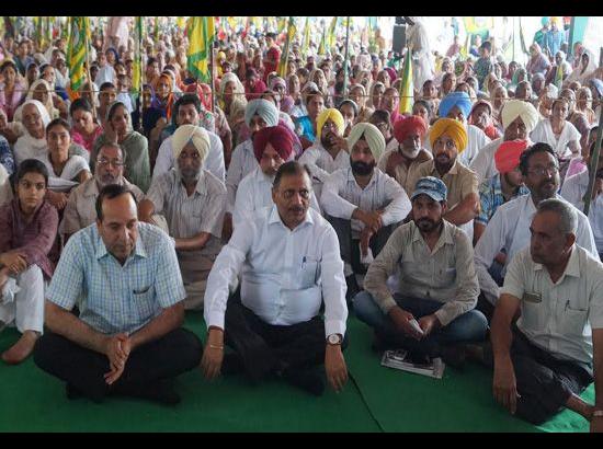 Tributes paid to Ajmer Aulakh; writers, farmers turn up in large number