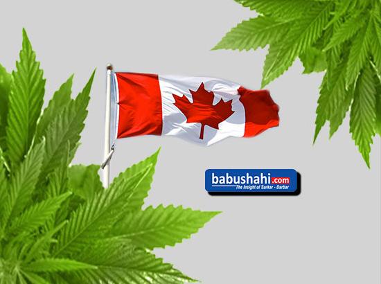 Canada legalises sale, use of cannabis