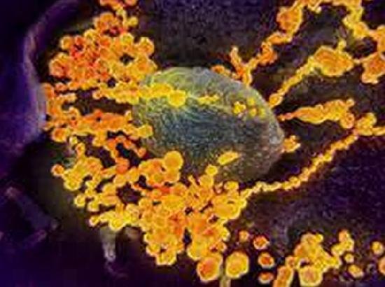 Florida reports its first 2 coronavirus deaths