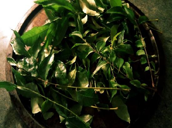 The many benefits of curry leaves