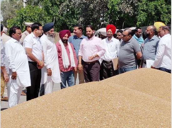 1,37,846 MTs wheat procured in Ferozepur, DC appeals not to burn crop residues

