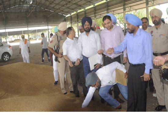 52109 MT wheat procured in Mansa, lifting and purchase smooth: DC
