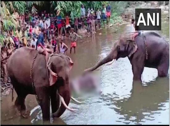 Killing of pregnant Elephant : People across world sign 927 petitions, seek justice 