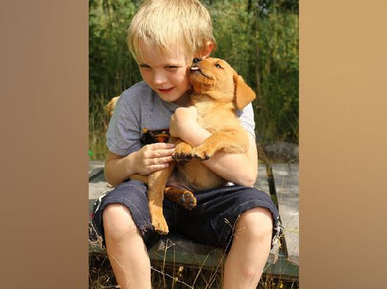 ‘Pet dogs may improve social-emotional development in young children’