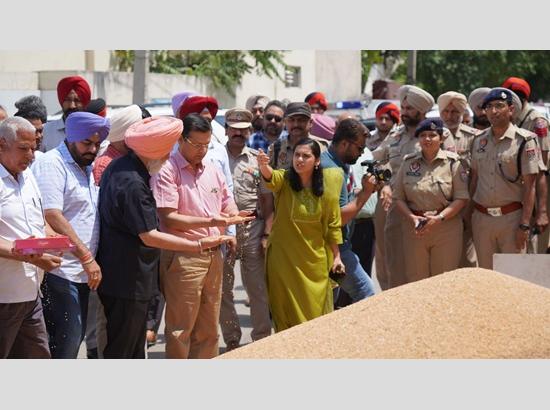 Punjab CS Anurag Verma visits Grain Market Khanna, takes stock of wheat procurement