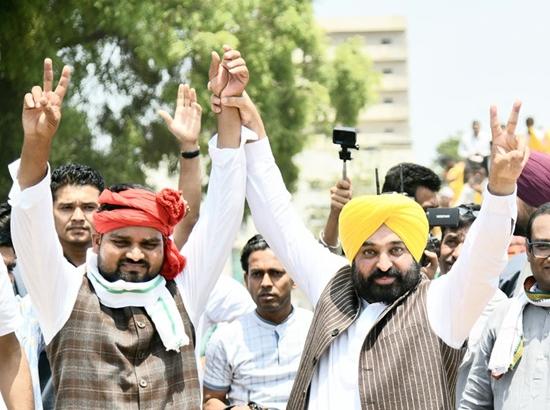 Bhagwant Mann holds 'Jan Ashirwad Yatra' in Gujarat in support of AAP candidate from Bharuch