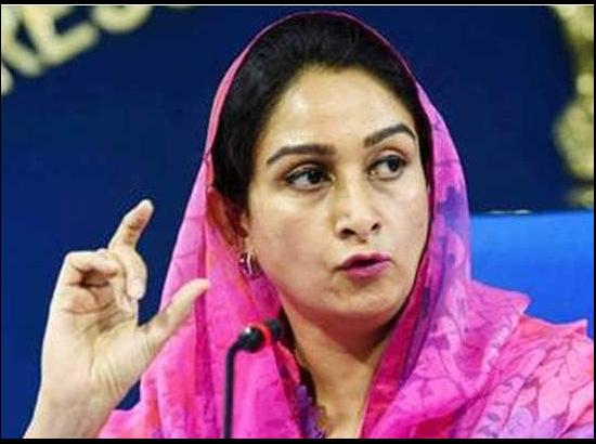 Harsimrat Badal meets Traders, Doctors and lawyers 