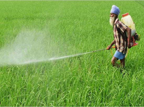 Only 7% Urea & 71% DAP left in stock in district Ludhiana : Chief Agriculture Officer

