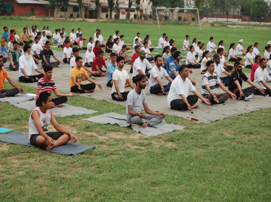 5 PB BN NCC, Patiala celebrates International Yoga Day