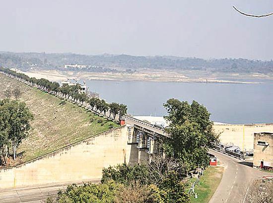 No water being released from Pong Dam reservoir 
